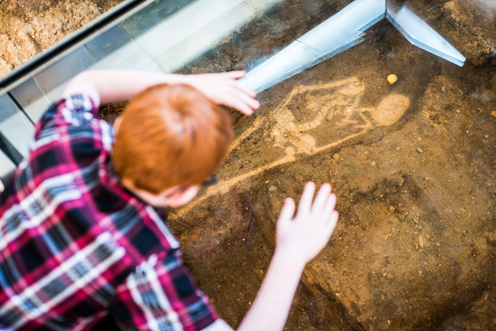 Richard III Centre 240714 1031