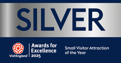 Smallattraction SILVER VEAE2025 Smalllogo